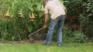 A horny gardener is so skilled at giving a blowjob to his lady.