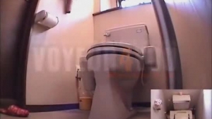 Japanese Toilet Flush Situation